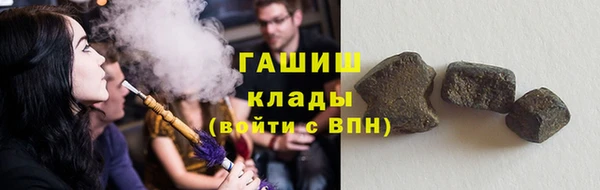 твердый Инта