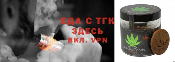 твердый Инта