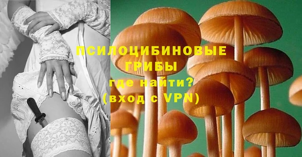 бошки Иннополис