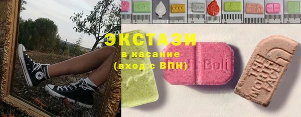 твердый Инта