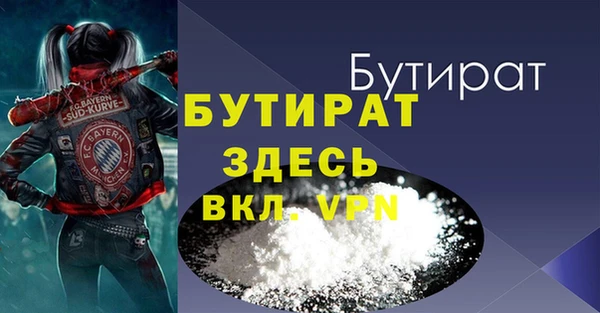 твердый Инта