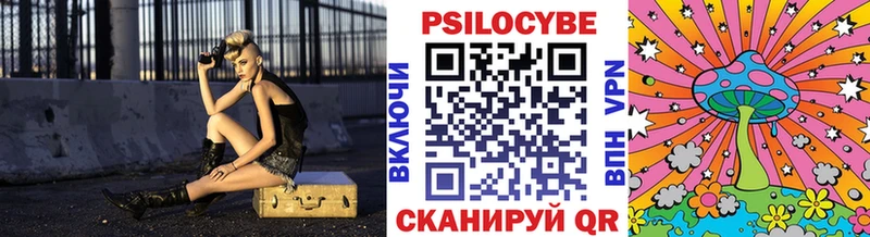 Псилоцибиновые грибы Cubensis  блэк спрут вход  Касли  цена наркотик 